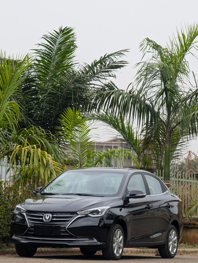 Changan Alsvin 2025 for sale in FCT - Abuja - ₦17,500,000